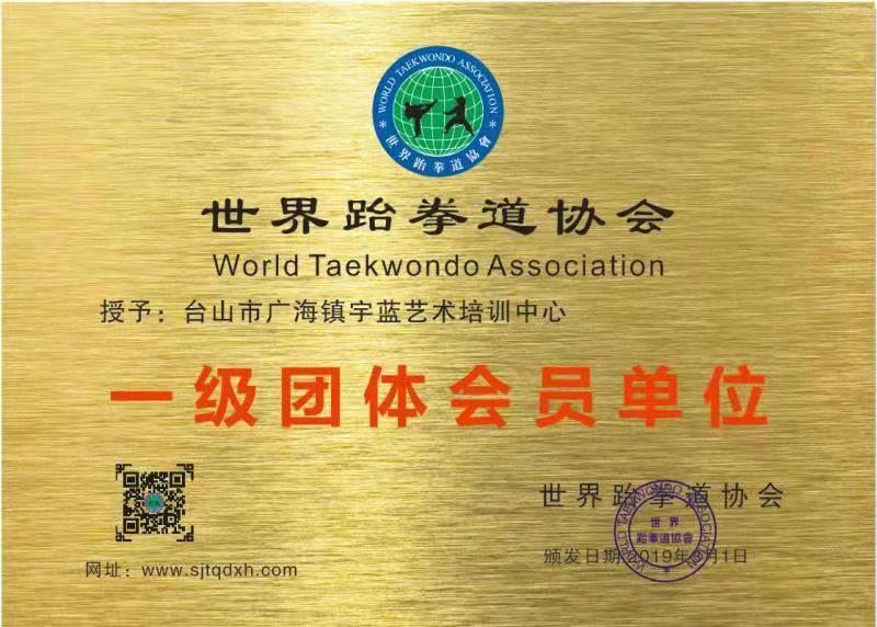 台山市广海镇宇蓝艺术培训中心  一级会员单位
